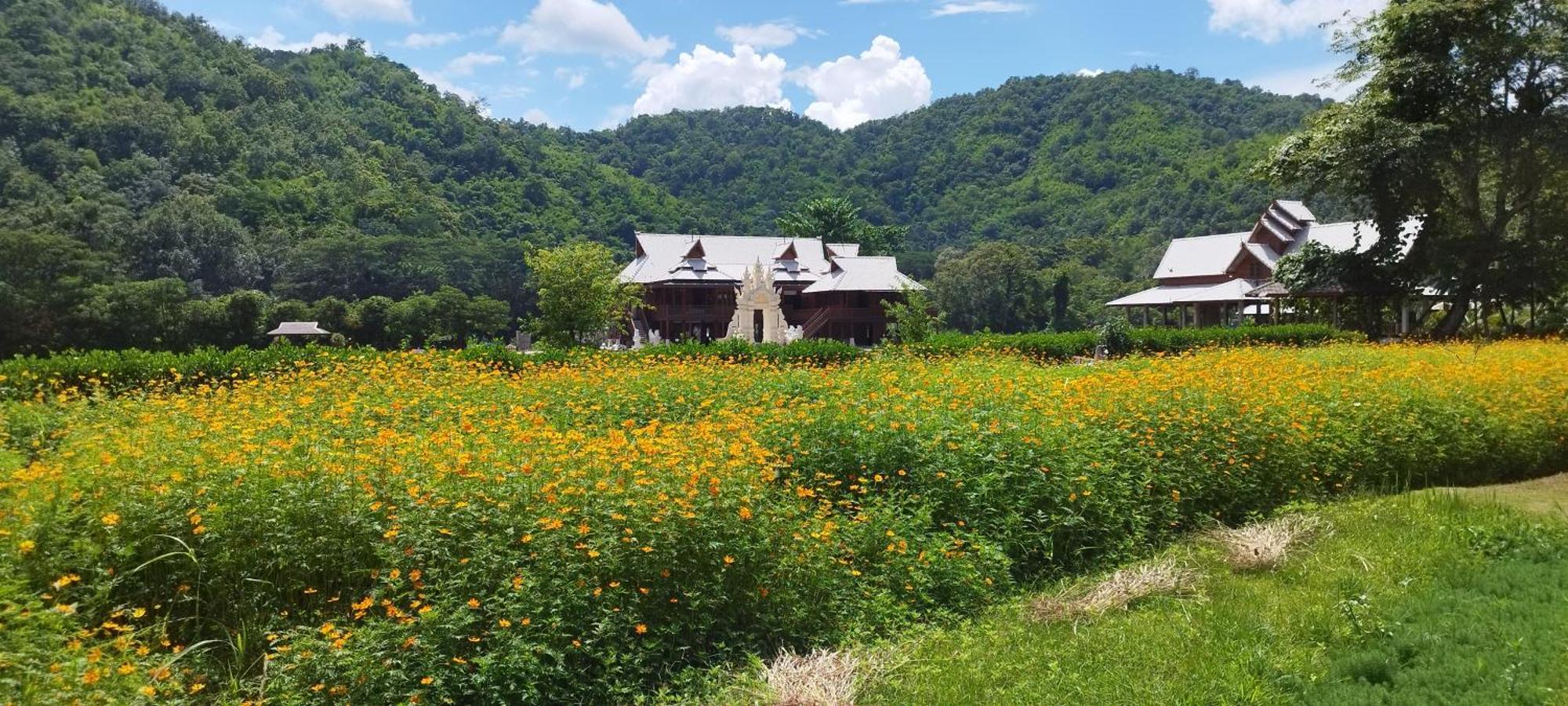 La Villa De Madame Su Chiang Mai Buitenkant foto